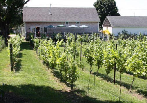 ווסטרלי The Langworthy Inn & Winery מראה חיצוני תמונה